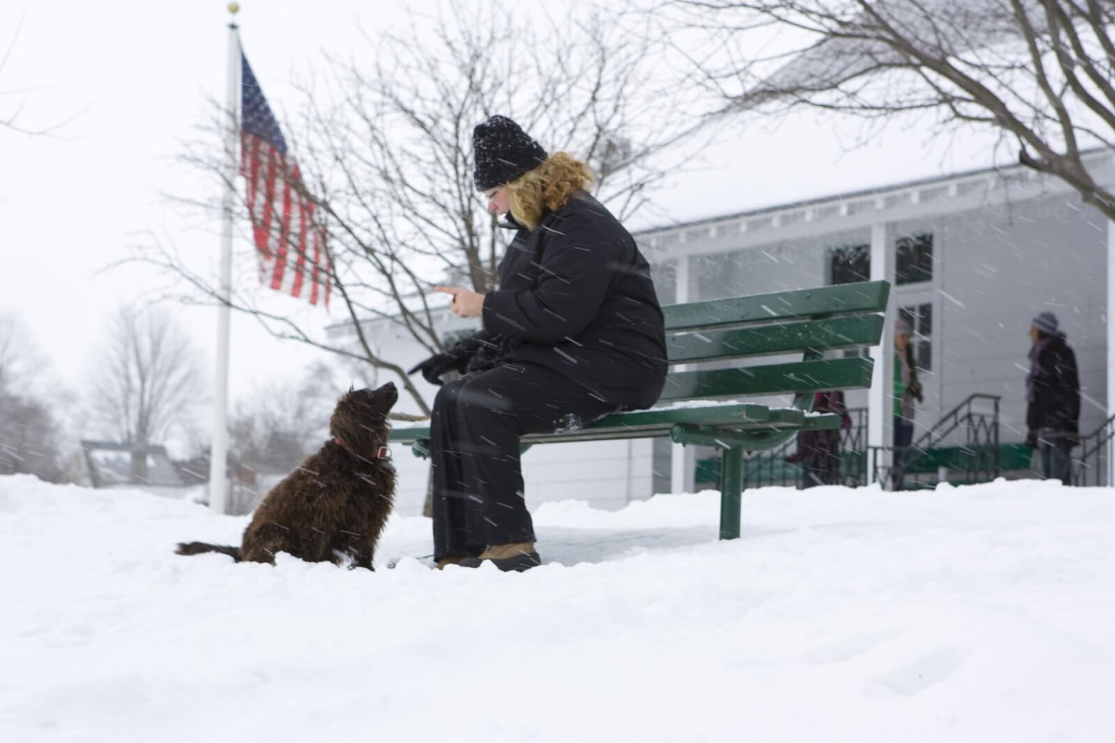 Women sitting in on a park bench with her black dog in the snow