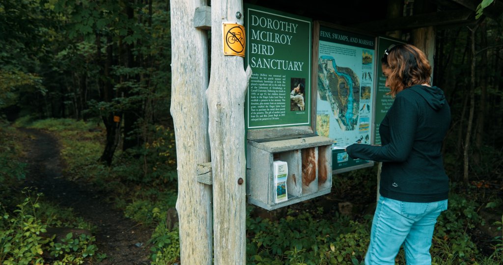 Simple Ways to Enjoy the Outdoors This Winter