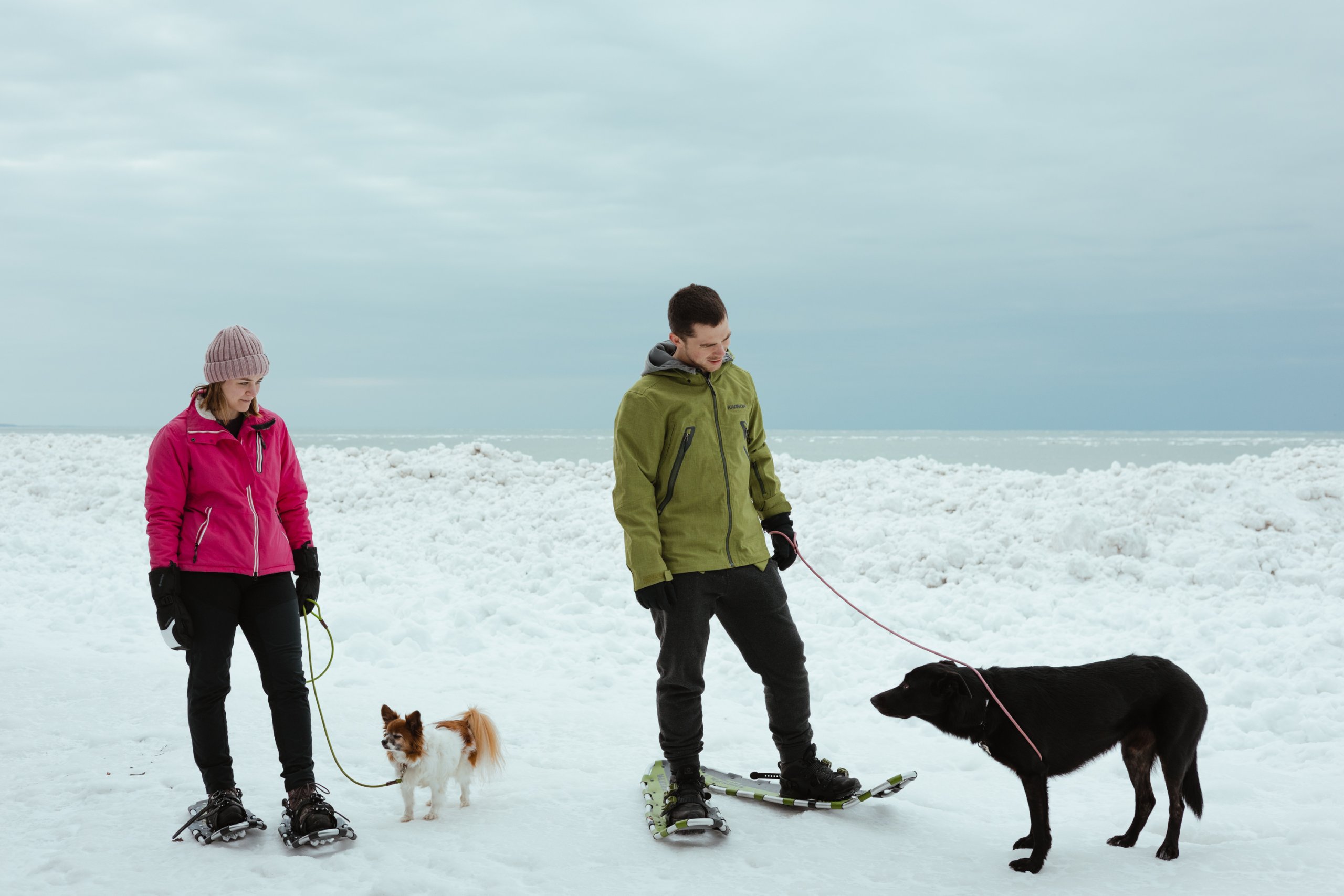 Go Beyond for All Abilities man and women in winter coats snowshoeing with two dogs
