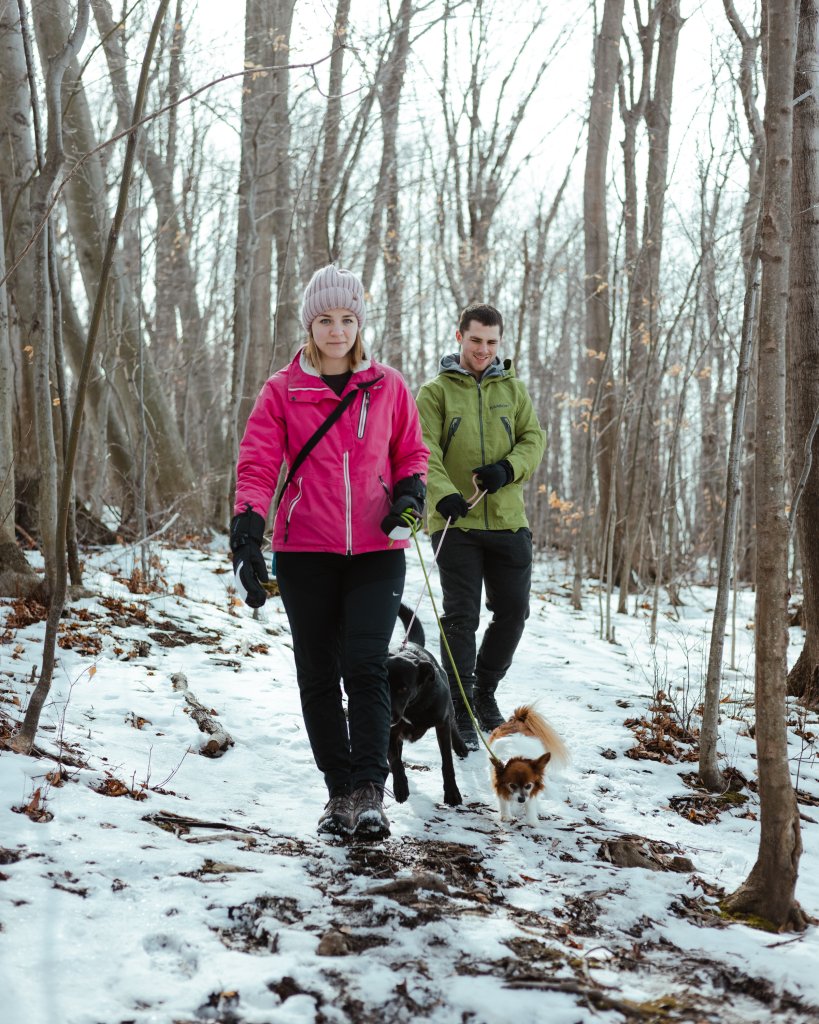 Simple Ways to Enjoy the Outdoors This Winter