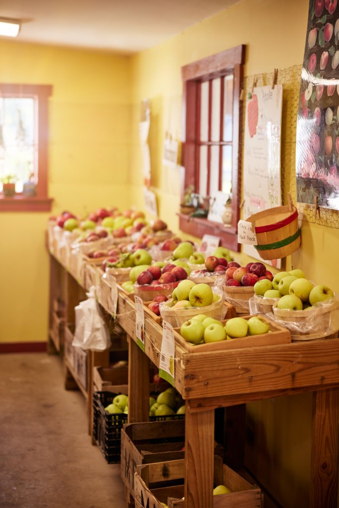 Sweet Treat Trail 2025: Locally Grown=Sustainable & Fresh Red and greed fresh picked apples in a bin
