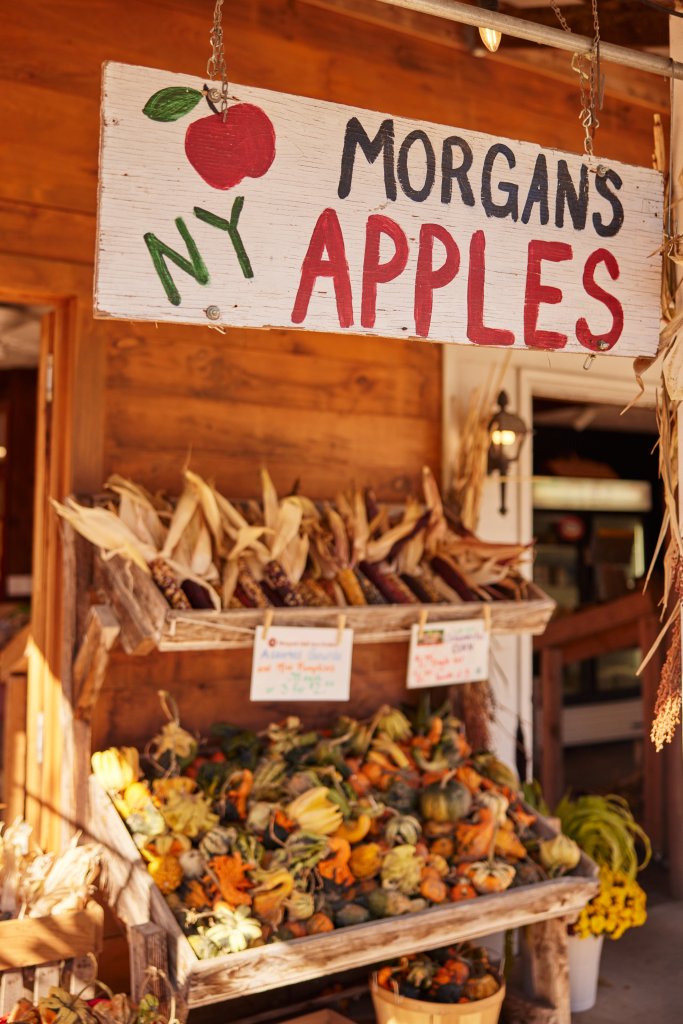 Sweet Treat Trail 2025: Locally Grown=Sustainable & Fresh a bin of dried corn for decorating