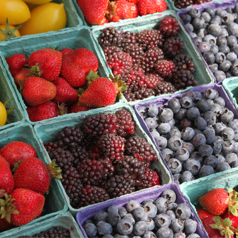 Moravia Farmers Market Image