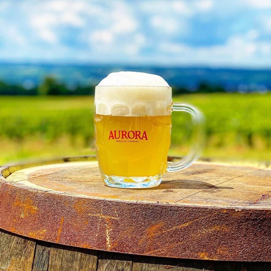 Celebrate American Craft Beer Week in Cayuga County