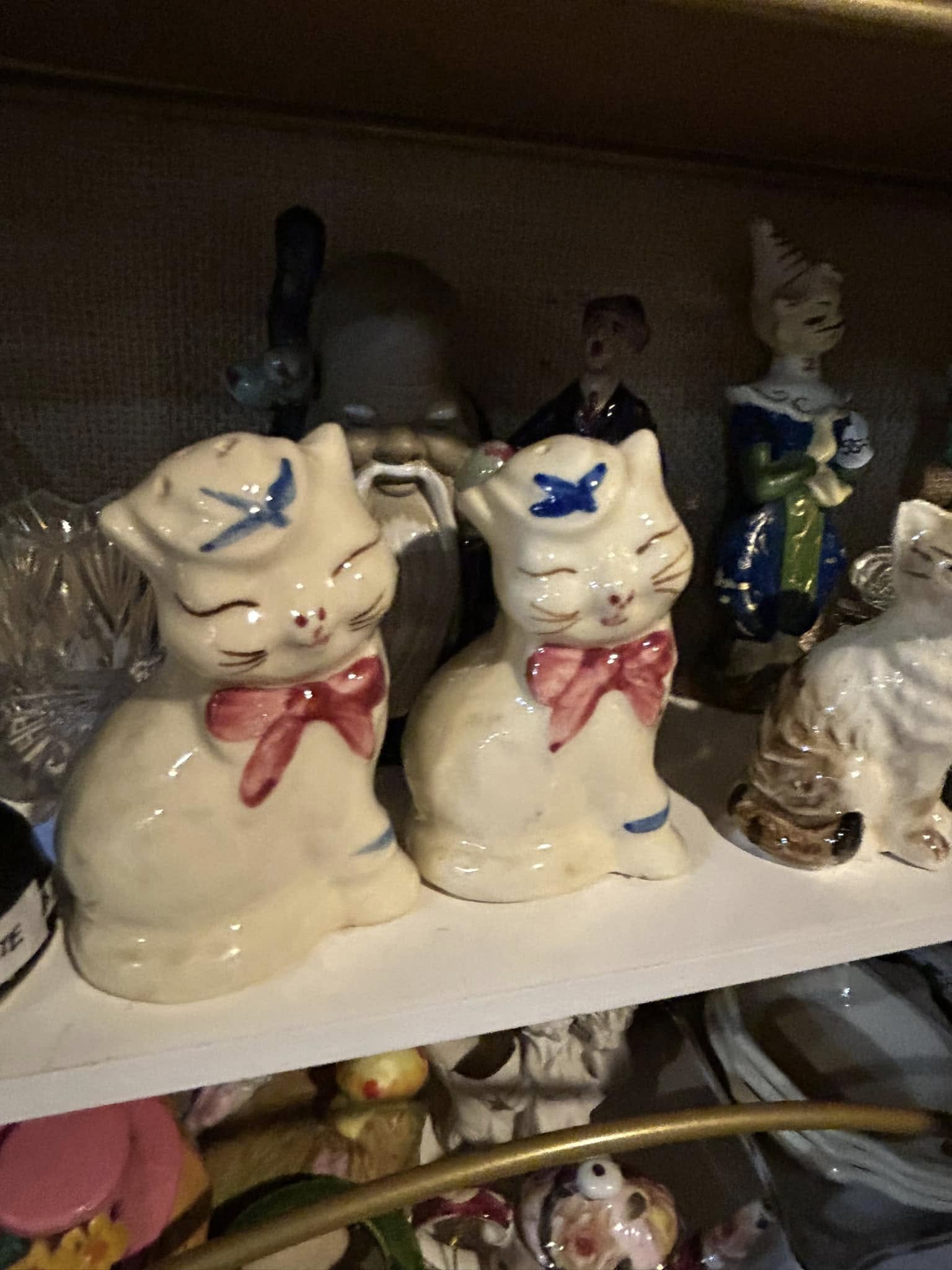 Hibercation -Retail Specials Hibercation -Retail Specials