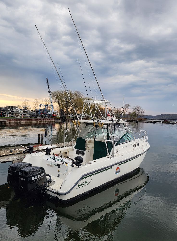 Reel Sunset Fishing Charters Image
