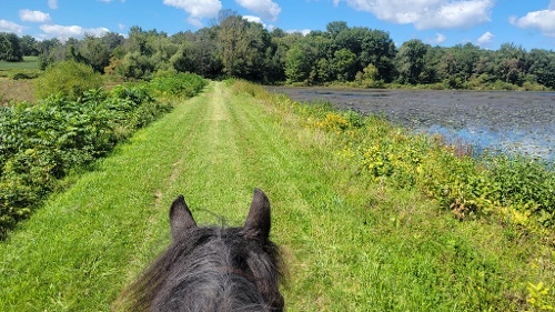 Howland’s Island Wildlife Management Area Image