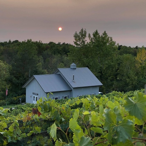 CJS Vineyards Image