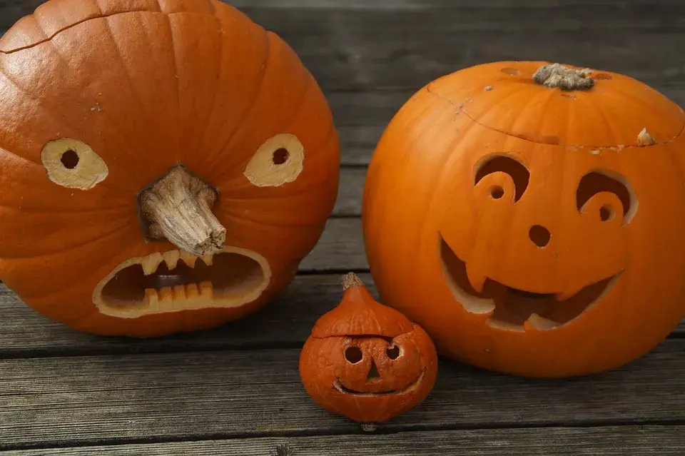 Witch Way to Halloween Fun in Cayuga County