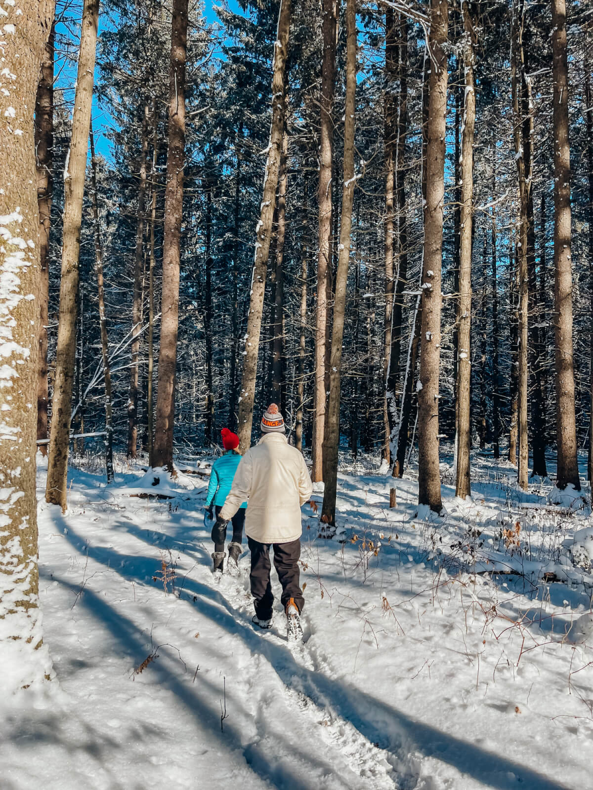 Simple Ways to Enjoy the Outdoors This Winter