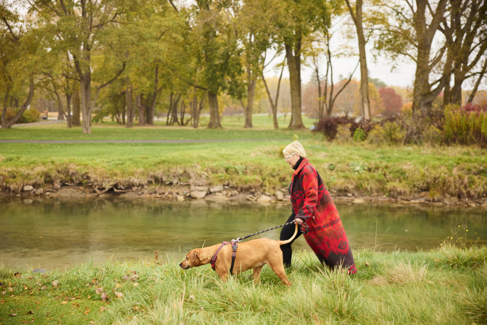 Bring Your Best Friend: A Pet-Friendly Guide to Cayuga County