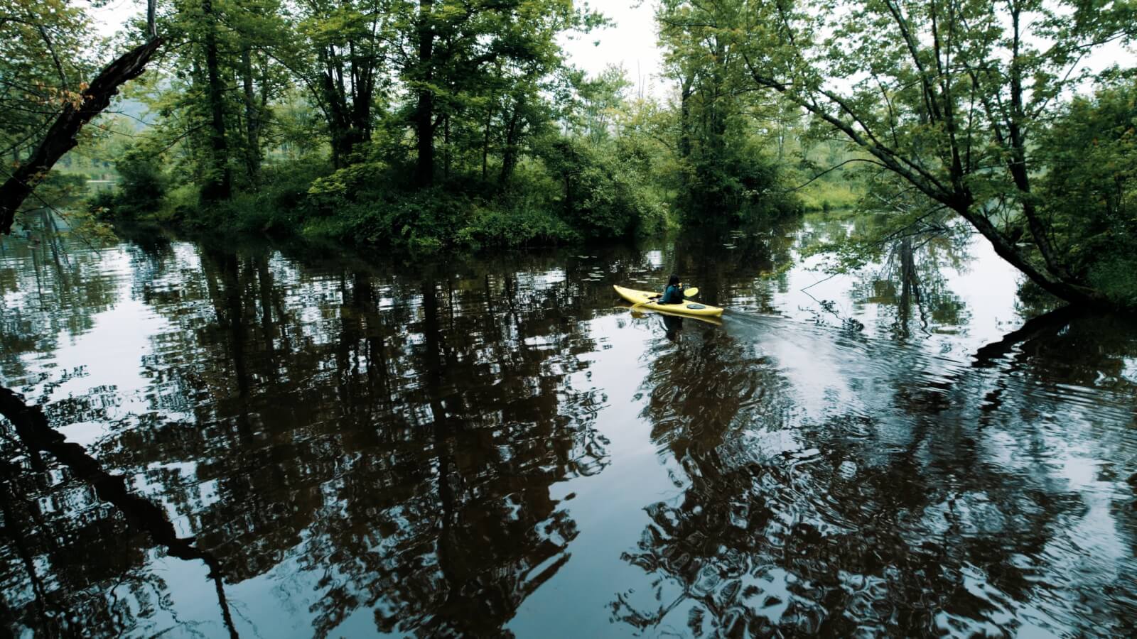 How to Travel Responsibly in Cayuga County How to Travel Responsibly in Cayuga County