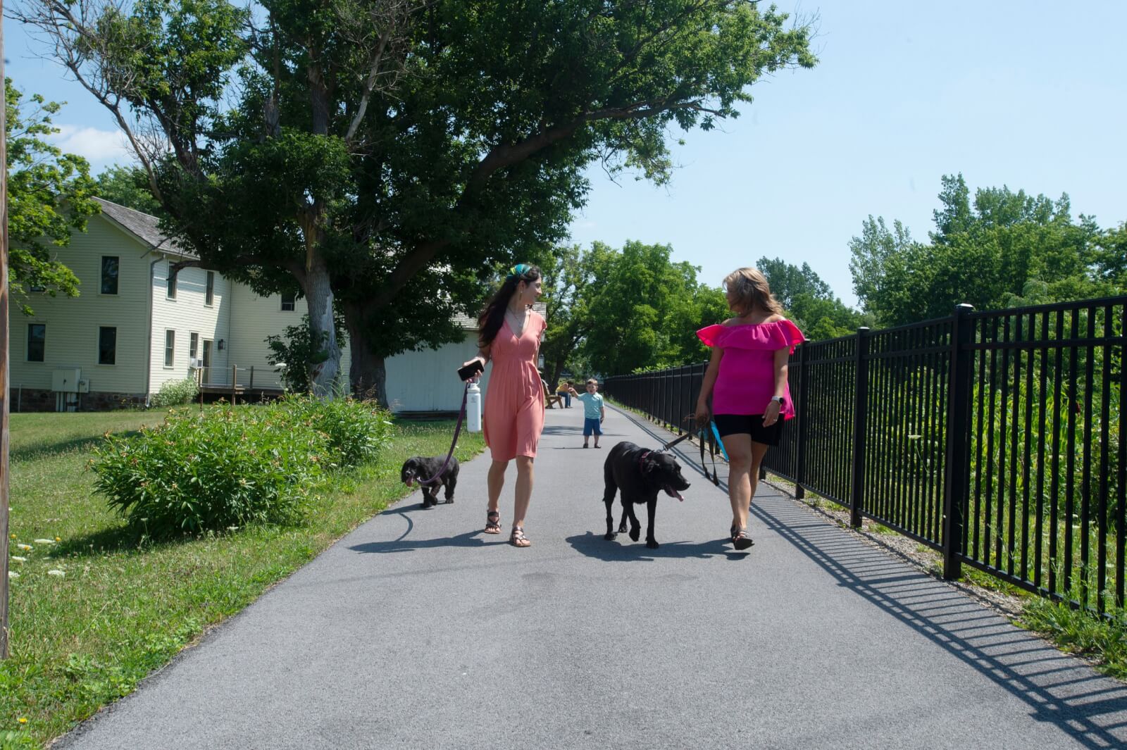 Bring Your Best Friend: A Pet-Friendly Guide to Cayuga County