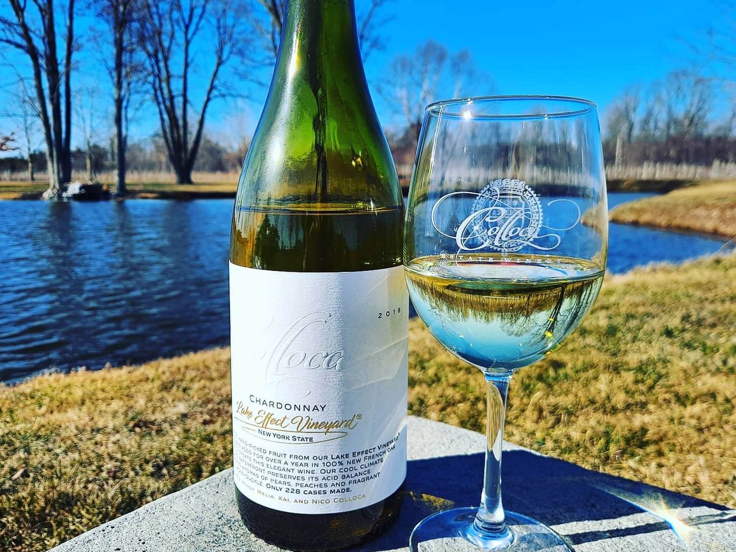 Cayuga lake wineries top