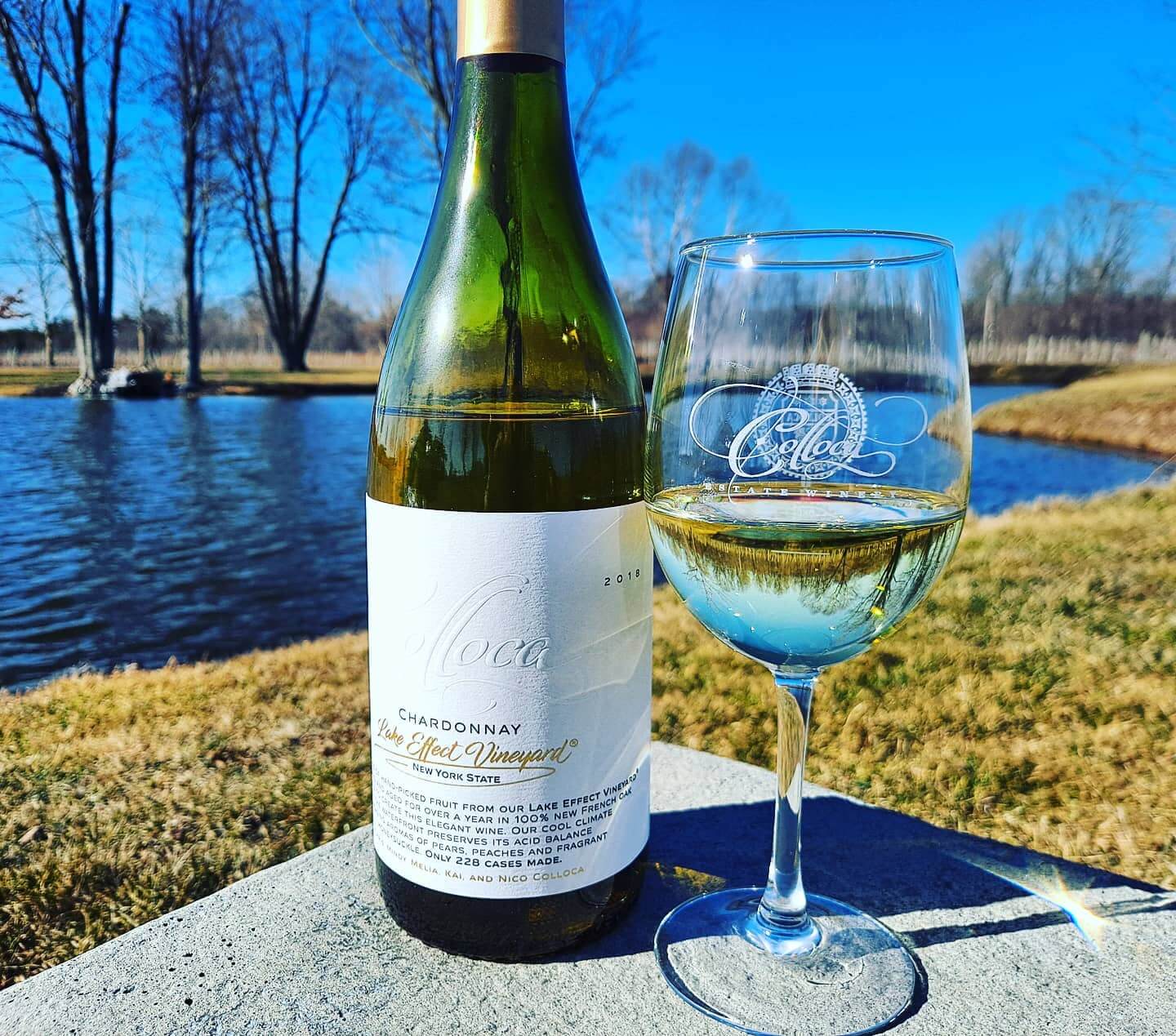 Raise a Glass: Your Guide to the Finger Lakes’ Award-Winning Wine Scene