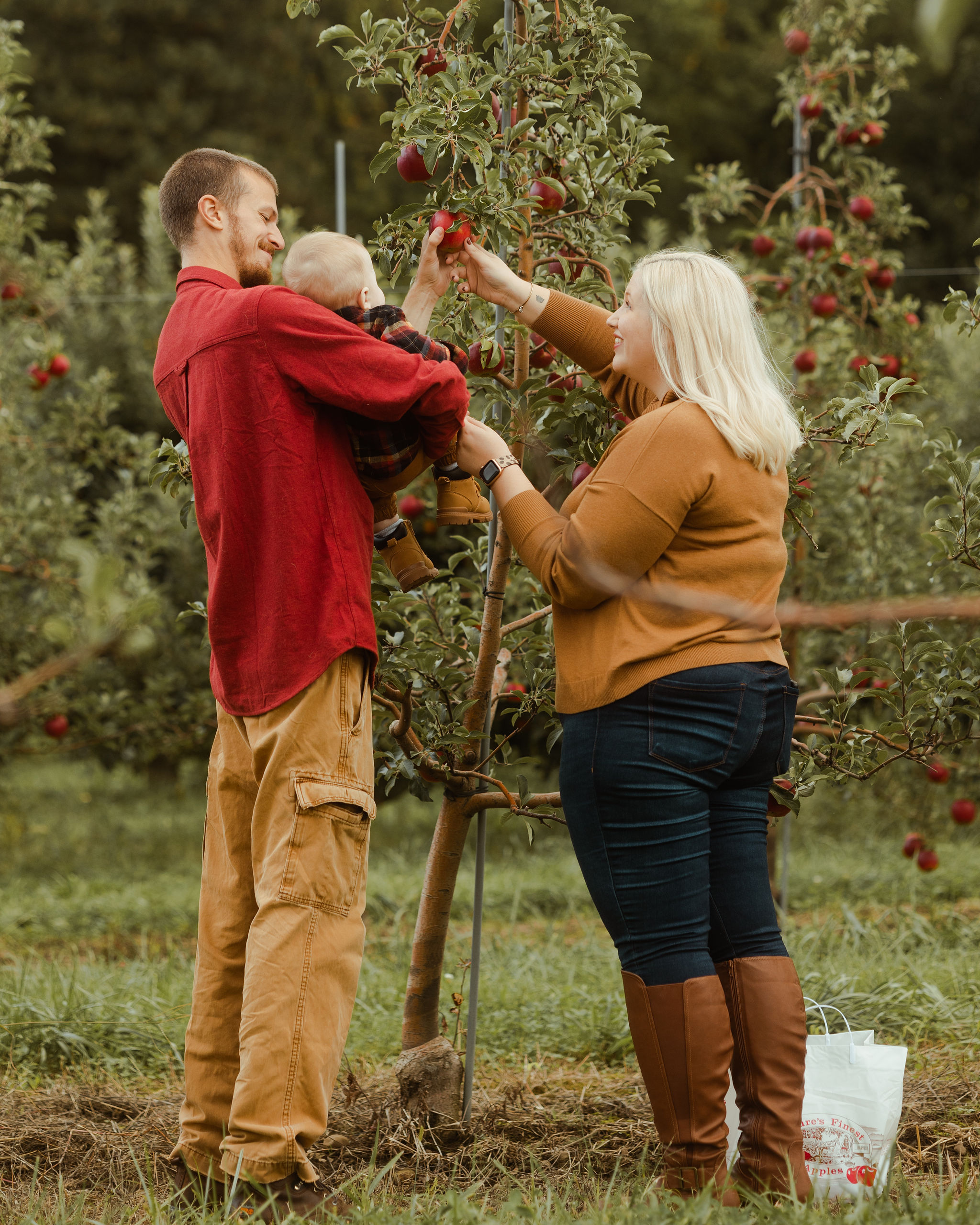 two adults and an infant picking apples at and orchard