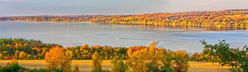 fall foliage