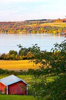 Plan Ahead for an Unforgettable Fall Getaway in Cayuga County Red barn surrounded by fall foliage in Cayuga County.