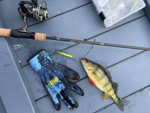 Fishing on Skaneateles Lake - TourCayuga