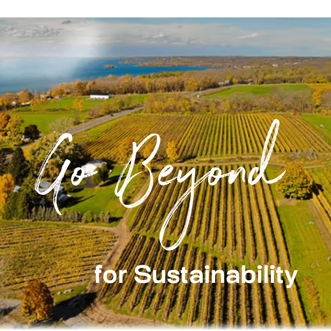 Outdoor Recreation Outdoor Recreation