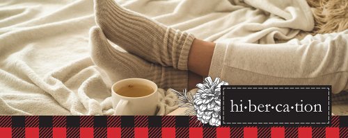 What is Hibercation Hibercation- Cozy socks and tea