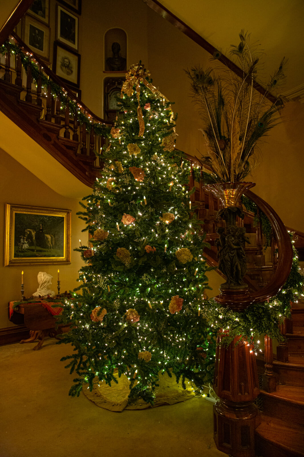 The Holiday Season is Upon Us! The Holiday Season is Upon Us!