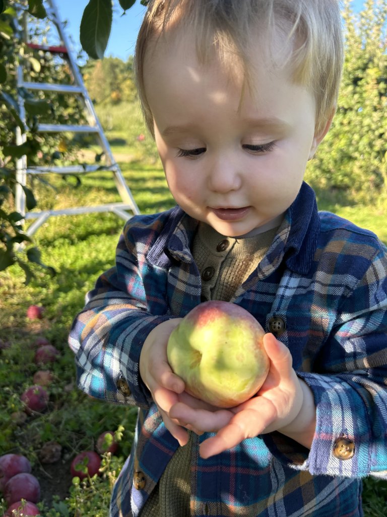 Sweet Treat Trail 2025: Cider, Donuts, Apples and More Oh My! Sweet Treat Trail 2025: Cider, Donuts, Apples and More Oh My!