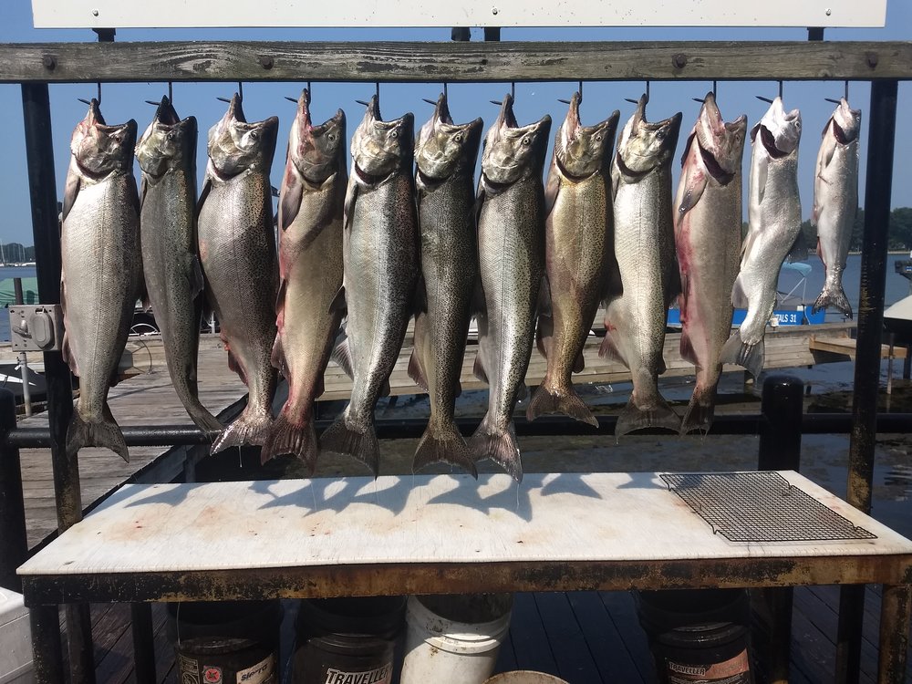 An Unforgettable Fishing Adventure with Popeye Charters line of freshly caught fish