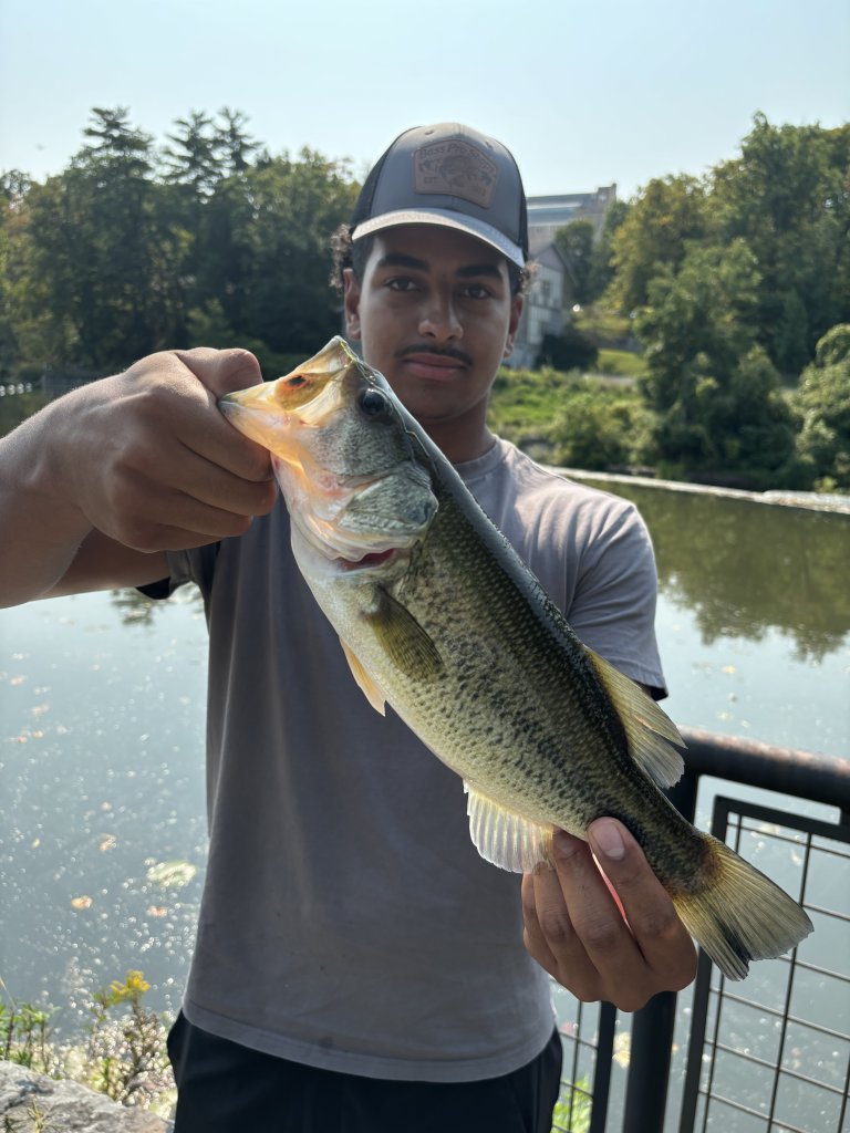 Fish Cayuga County Tributaries This Spring Fish Cayuga County Tributaries This Spring