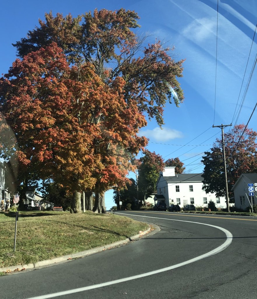 Top 5 Fall Drives for Leaf Peeping Top 5 Fall Drives for Leaf Peeping