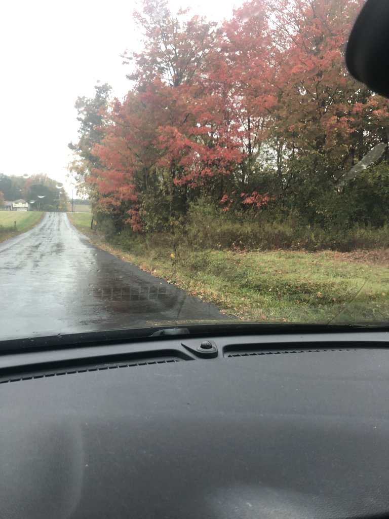 Top 5 Fall Drives for Leaf Peeping Top 5 Fall Drives for Leaf Peeping