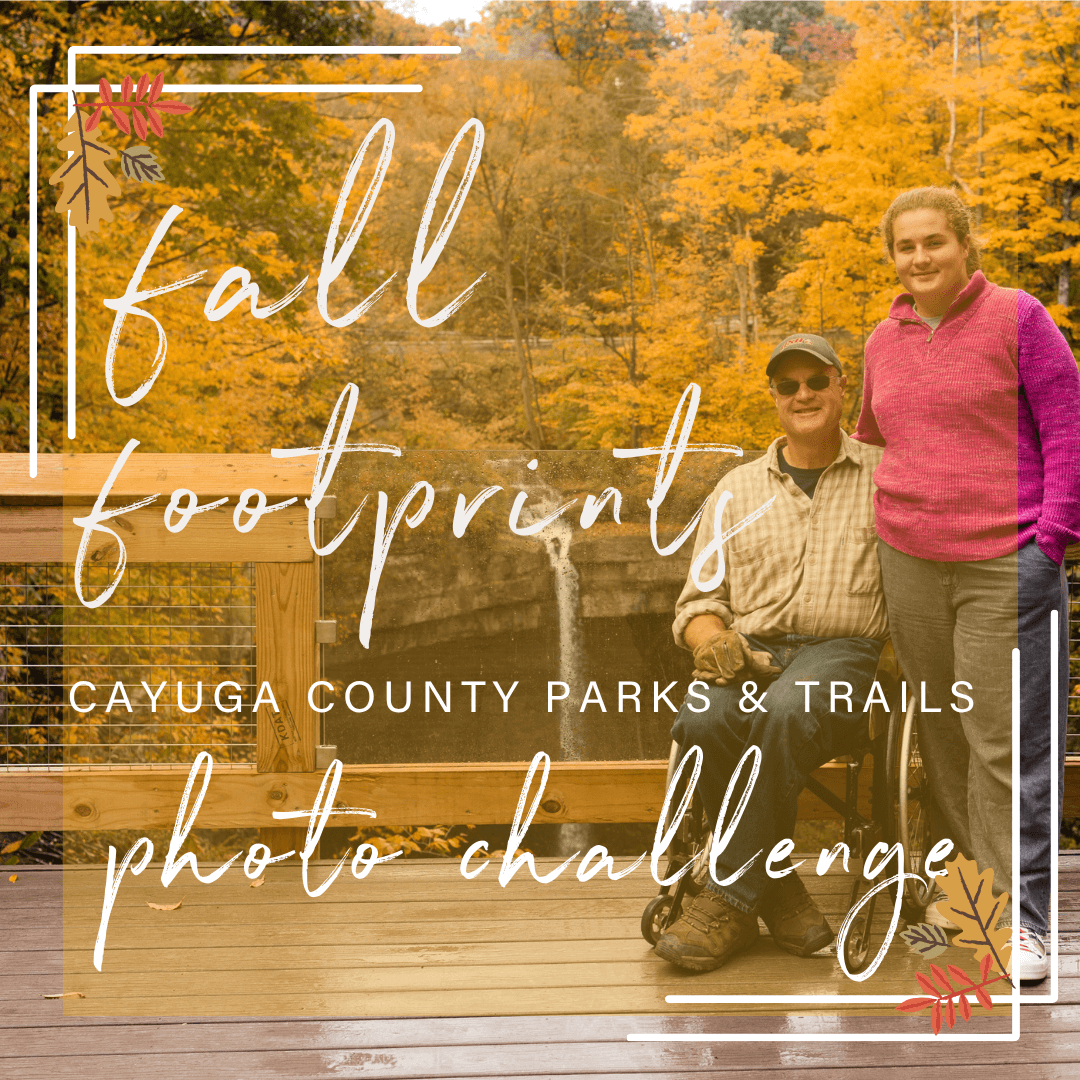 Carpenter Falls  in the fall