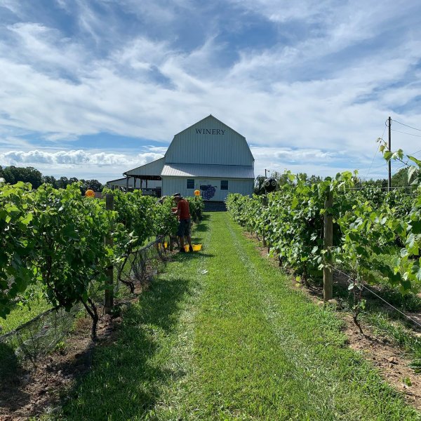 Earth Month-Remembering Mother Earth News - TourCayuga
