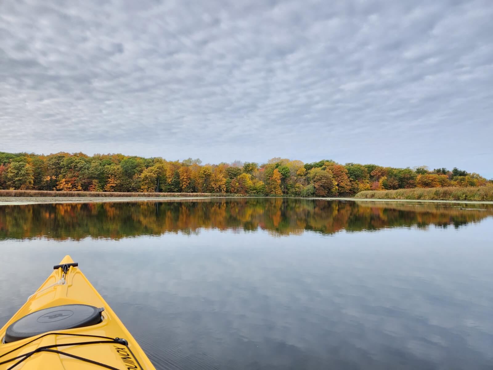 Lore Tripping? Think Cayuga County.