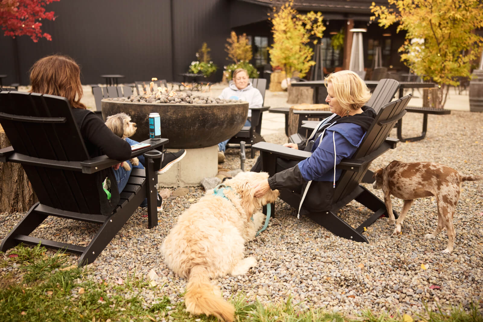 Bring Your Best Friend: A Pet-Friendly Guide to Cayuga County