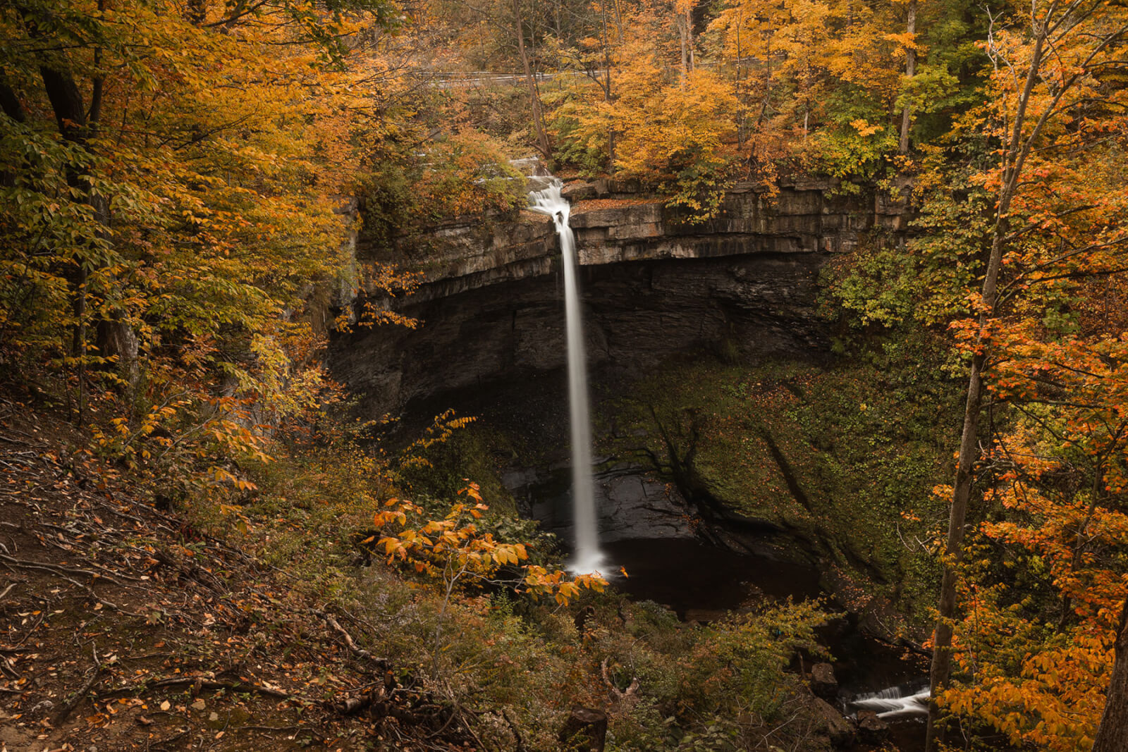 Waterfalls of Cayuga County Waterfalls of Cayuga County