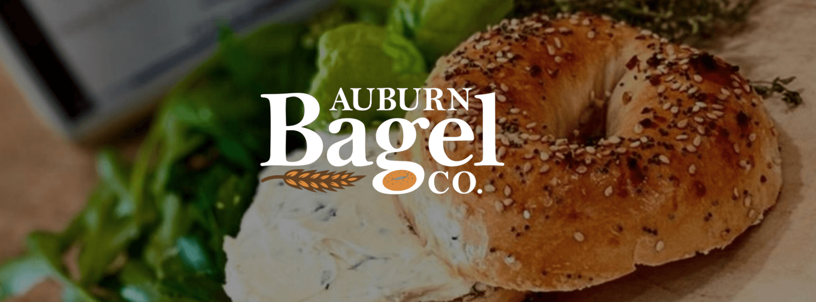 Auburn Bagel Company logo