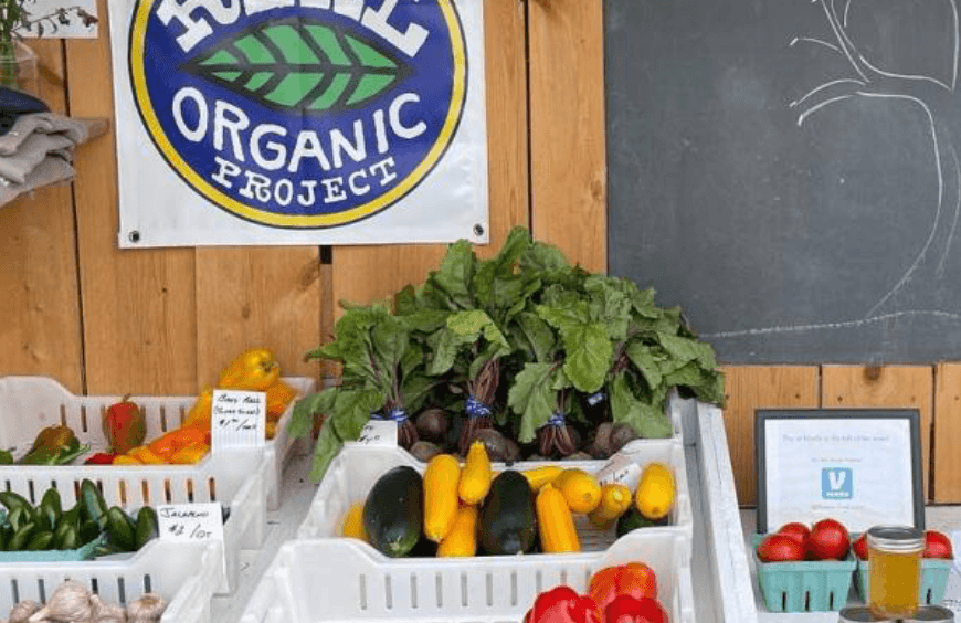 Experience the Harvest: Farmers Market Season 2026 Experience the Harvest: Farmers Market Season 2026