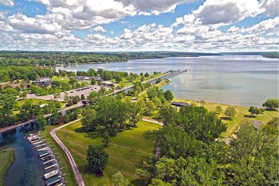 An aerial view of green trees and grass meet the water.