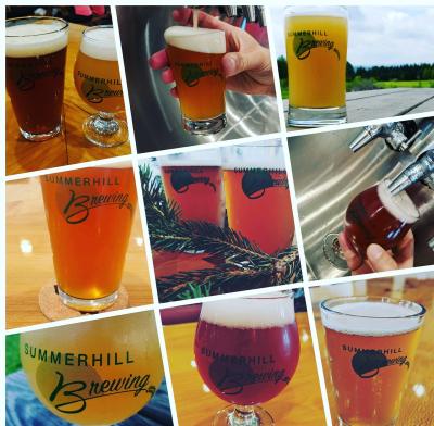Summerhill Brewing Collection - OUR Cayuga