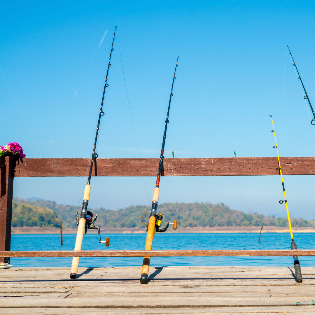 Fish Cayuga County Tributaries This Spring fishing poles leaning against a fence in front of a lake