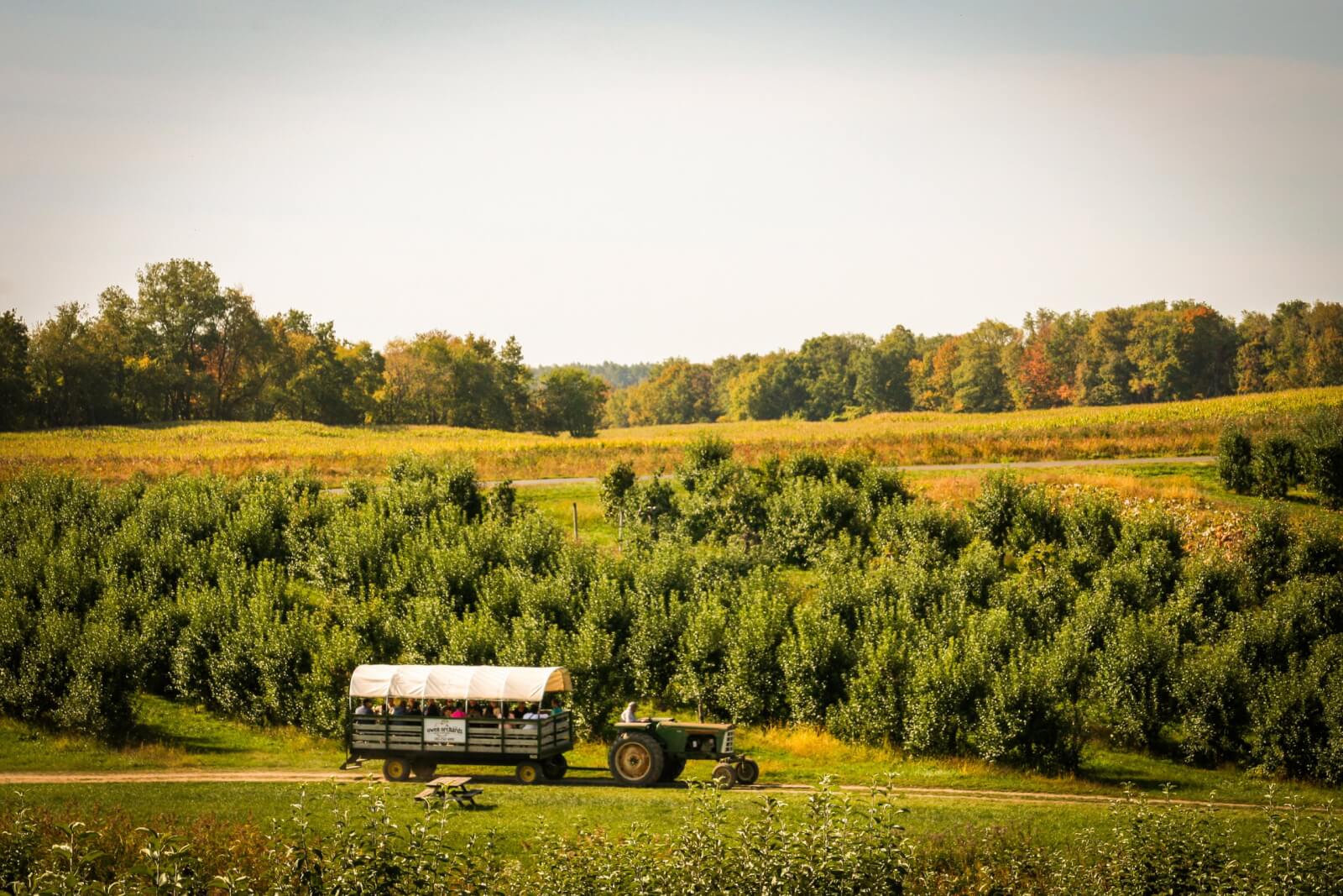 Owen Orchards Wagon Ride at Owen Orchard