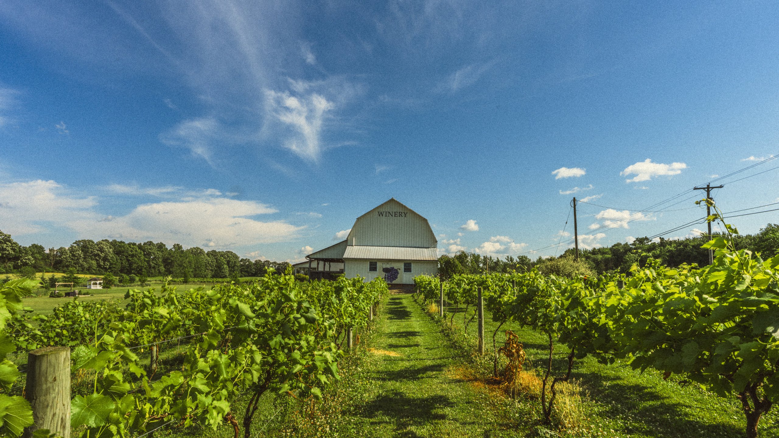 Raise a Glass: Your Guide to the Finger Lakes’ Award-Winning Wine Scene