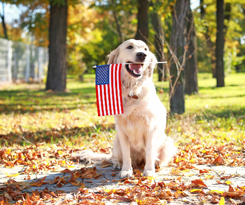 Veterans Memorial Park Image