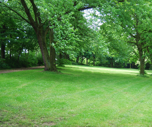 Market Street Park Image