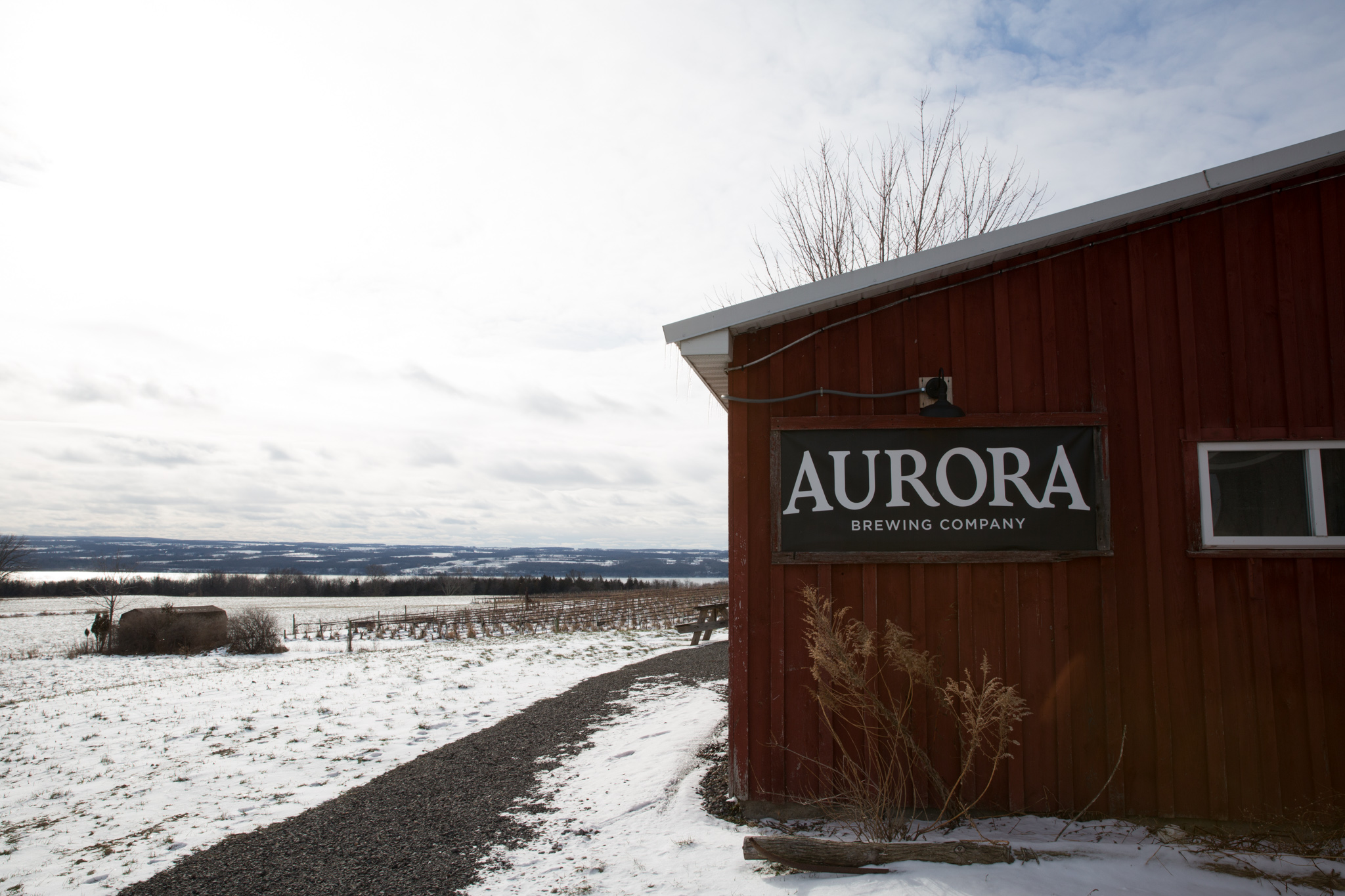 Your Zodiac Sign, Your Cayuga County Dining Match Aurora Brewing Company building