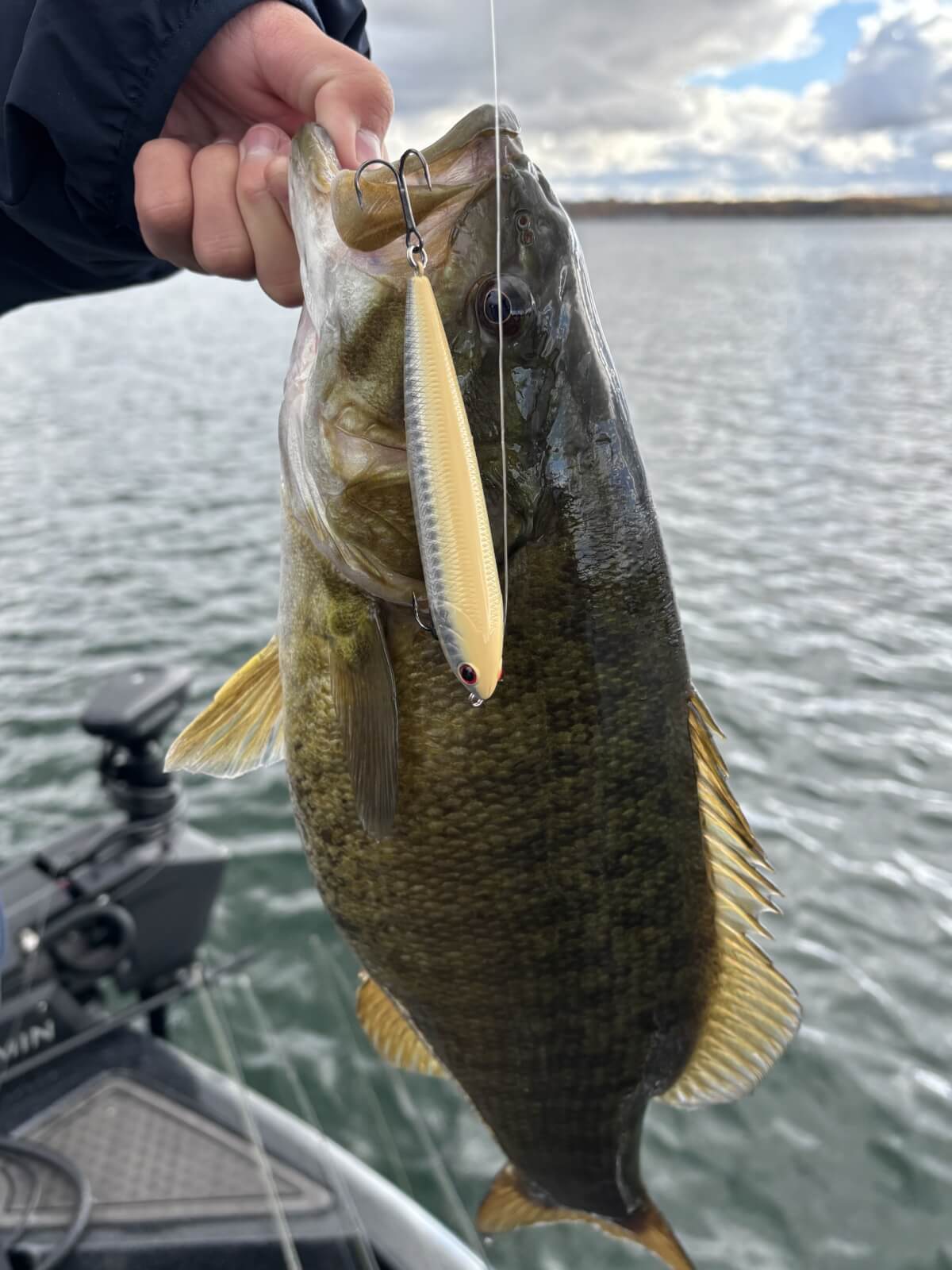Top Water Bass Action Abounds on Cayuga County Waters in Fall Top Water Bass Action Abounds on Cayuga County Waters in Fall
