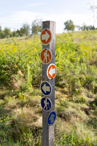 Hojack Trail Image