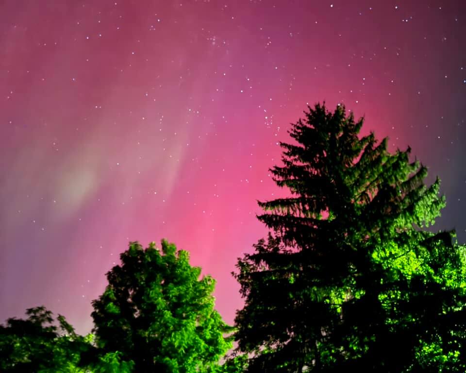 Exploring Cayuga County After Dark Pine trees in the dark evening sky