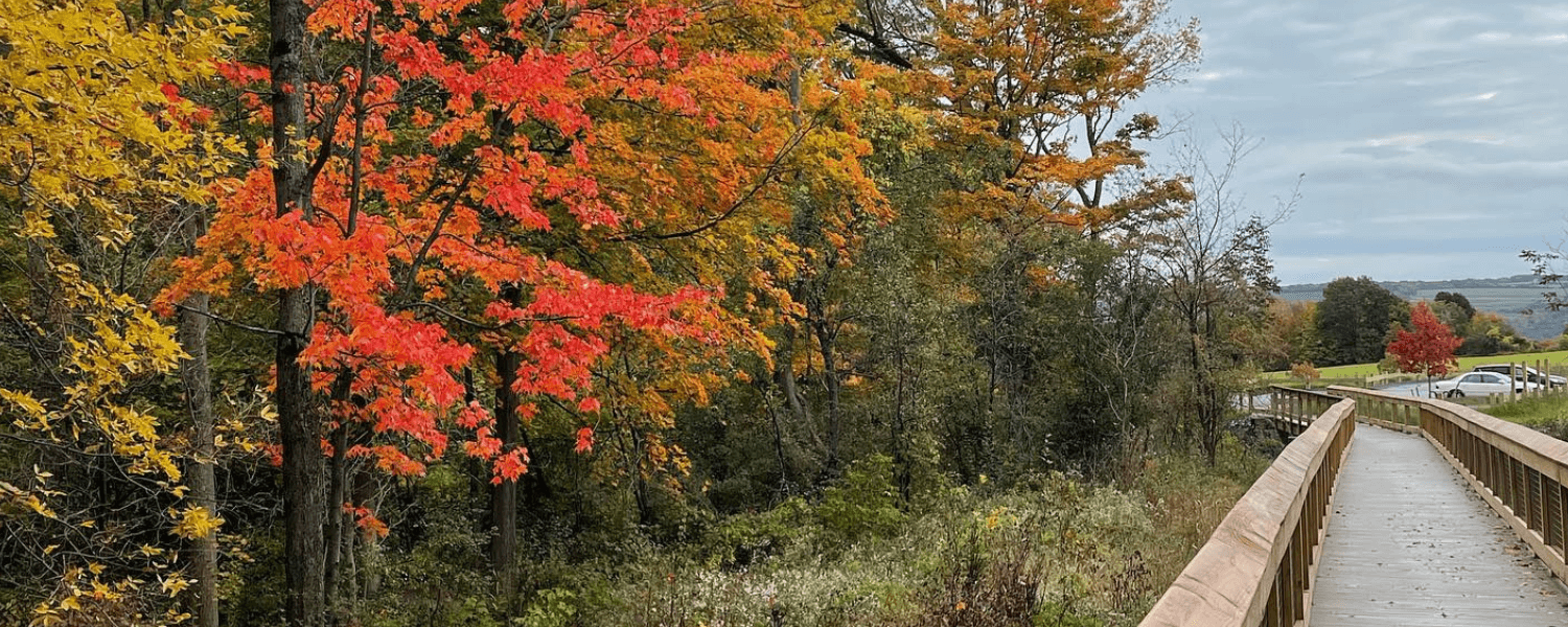 Plan Ahead for an Unforgettable Fall Getaway in Cayuga County Plan Ahead for an Unforgettable Fall Getaway in Cayuga County